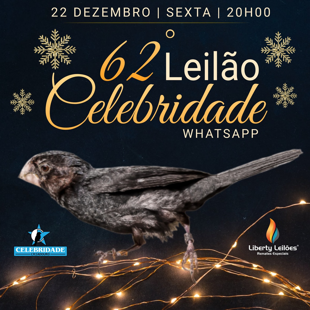 62º Edição - Leilão Criadouro Celebridade - só via WhatsApp