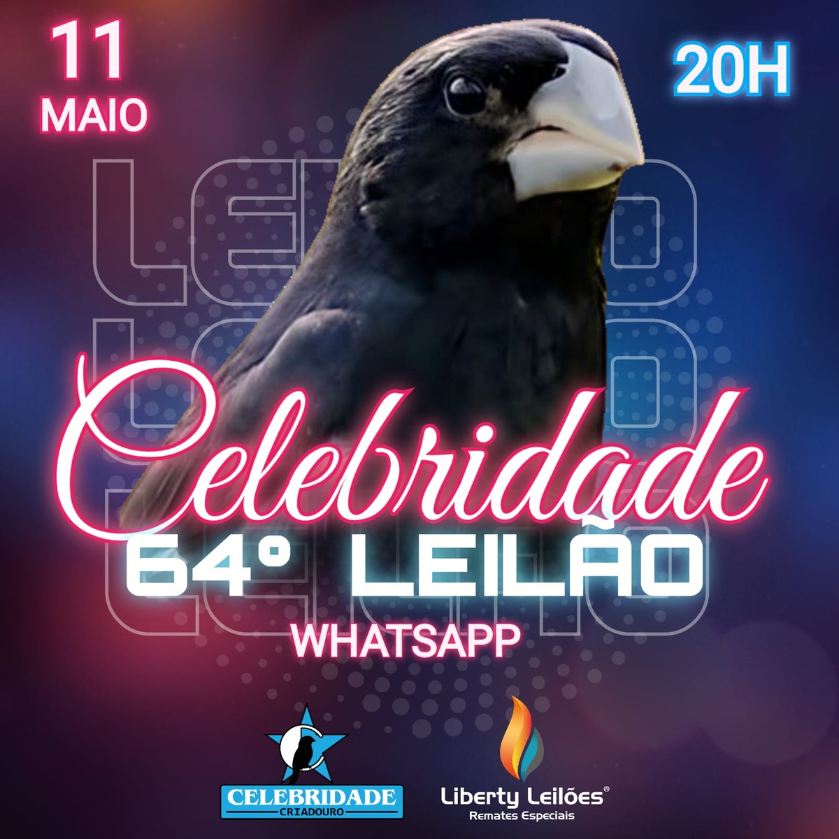 64º Edição - Leilão Criadouro Celebridade - só via WhatsApp