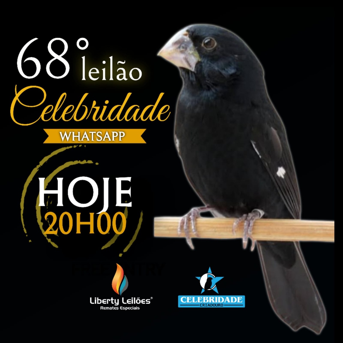 68º Edição - Leilão Criadouro Celebridade - só via WhatsApp