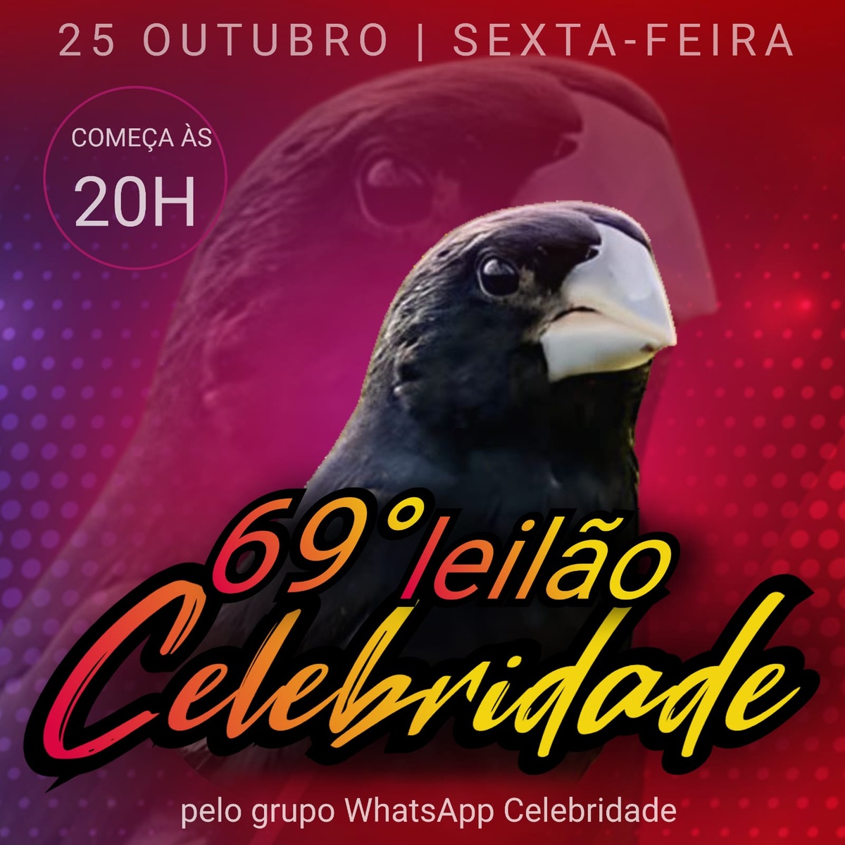 69º Edição - Leilão Criadouro Celebridade - só via WhatsApp