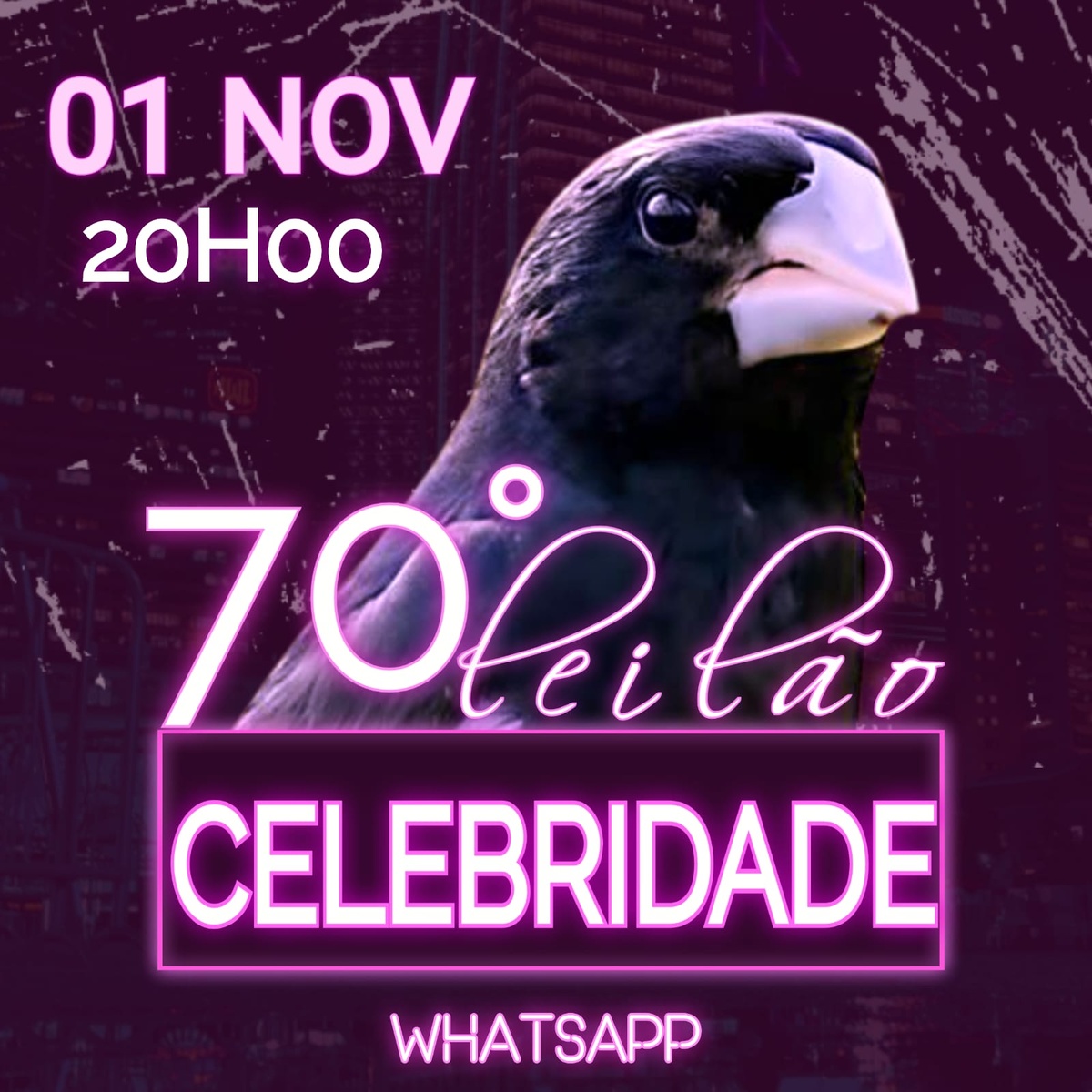 70º Edição - Leilão Criadouro Celebridade - só via WhatsApp