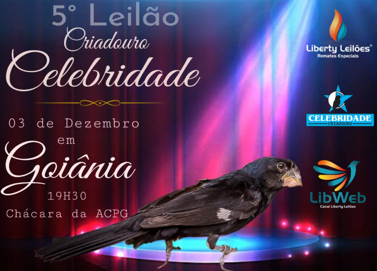5º LEILÃO CELEBRIDADE 