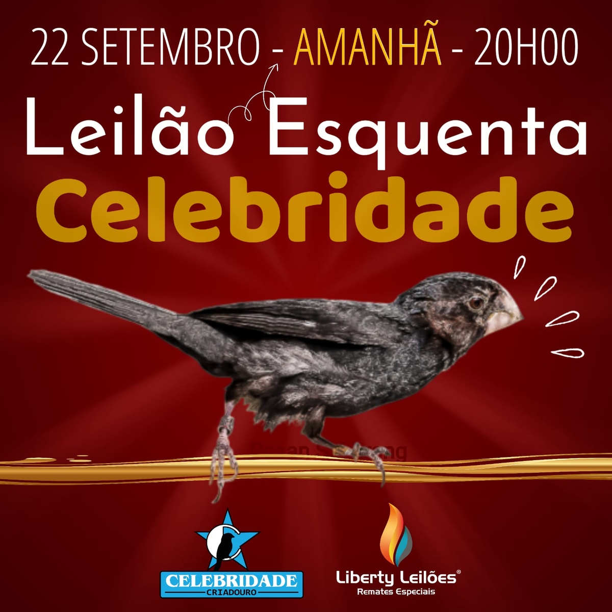 51º Leilão Criadouro Celebridade
