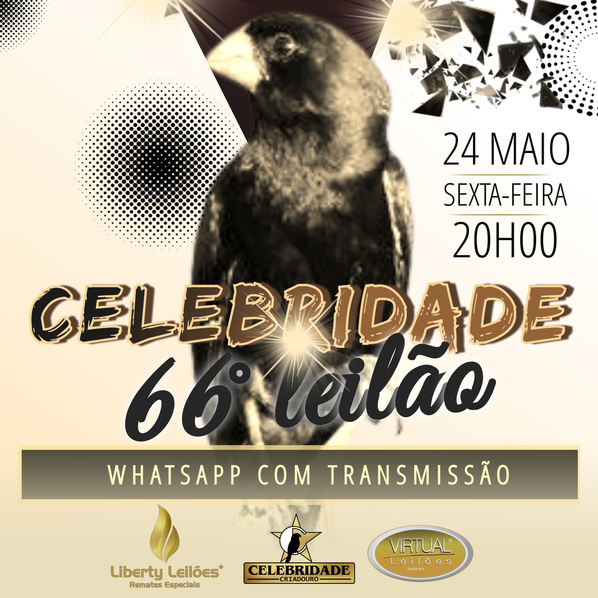 66º Edição - Leilão Criadouro Celebridade - via WhatsApp com transmissão via YOUTUBE.